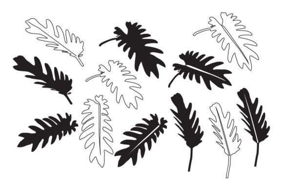 Tropical Leaves: Monstera and Philodendron Digital Resources